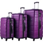 Merax Afuture 3 Piece Hardshell Spinner Luggage Set