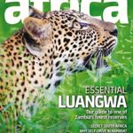 Travel Africa