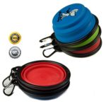 Best Portable Dog Water Bowl, Great as a Pet Travel Bowl, Which is Also a Collapsible Dog Water Bowl, Keep your Pet Hydrated and Safe in the Warmer Weather, Supplied in a 3 Pack