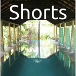 Travel Shorts