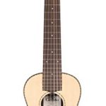 Cordoba Mini R Travel Acoustic Nylon String Guitar With Cordoba Gig Bag