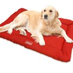 Coleman Roll-Up Waterproof Travel Bed