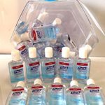 Purell Advanced Hand Sanitizer Gel 1 OZ Travel Size (6)