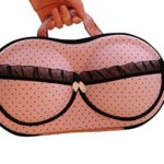 Portable Organizer Bag for Underwear Lingerie Bra Protect Storage Travel Box Case (pink)