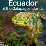 Lonely Planet Ecuador & the Galapagos Islands (Travel Guide)