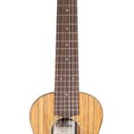 Cordoba Mini O Travel Acoustic Nylon String Guitar With Cordoba Gig Bag