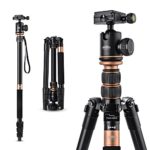 Rangers 57” Ultra Compact and Lightweight Aluminum Tripod with 360° Panorama Ball head, ideal for travel and work