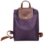 Fashion School Bag, Leisure Travel Nylon Zipper Bag Student Backpack Folding Bag Shoulder Bag Lightweight Travel Bag (Purple)