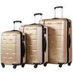 Merax Luggages 3 Piece Luggage Set Lightweight Spinner Suitcase (Champagne)