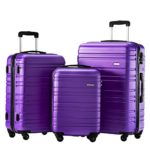 Luggage Set 3 Piece Set Suitcase set Spinner Hard shell Lightweight (purple)