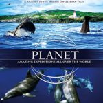 Planet – Azores