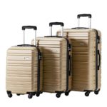 Luggage Set 3 Piece Set Suitcase set Spinner Hard shell Lightweight (champagne)