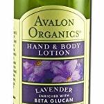 Avalon Organics Lavender Hand and Body Lotion, Travel Size, Pack of 2