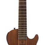 Traveler Guitar Mark III MK3 MHG Acoustic-Electric Guitar