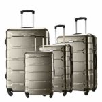 Seanshow Familly Luggage Set 4 PCS Lightweight Spinner Suitacase Set 18″ 22″ 26″ 30″ brown