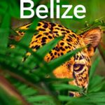 Lonely Planet Belize (Travel Guide)