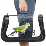 Colorday Lightweight Bird Carrier, Bird Travel cage Parrot (Medium 16 x 9 x 11, Red)