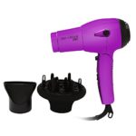 Hot Tools Ionic Travel Dryer with Folding Handle and Dual Voltage 1875 Watts Model No. HT1044