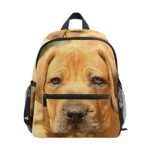 Backpack Rhodesian Ridgeback Dog School Bag Multi Cute BookBags for School Boys and Girls Kid Bags Children Travel Daypack 3-8 Years Old Preschool