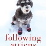 Following Atticus: Forty-Eight High Peaks, One Little Dog, and an Extraordinary Friendship