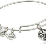 Alex and Ani Bangle Bar Path of Life Rafaelian Expandable Bracelet