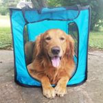Bark Brite Pop Open Collapsible Travel Crate in 2 Sizes (Large)