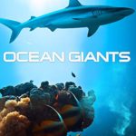 Ocean Giants