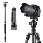 Tycka Lightweight 65″ Carbon Fiber Travel Tripod, 15kg Load Capacity, Equipped with 360 Panning Range Ball-Head, Advanced 1/4 Turn Quick Leg Locks for Canon Sony Nikon Pentax Fujifilm DSLR Cameras