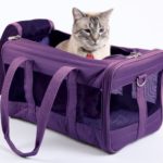 Sherpa Travel Original Deluxe Airline Approved Pet Carrier, Plum, Large (Frustration Free Packaging)
