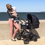 Evenflo Pivot Modular Travel System With SafeMax Car Seat, Casual Gray
