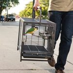 Prevue Pet Products Travel Carrier for Birds, Black