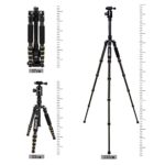 ZOMEI Z699C Carbon Fiber Portable Tripod with Ball Head Compact Travel for Canon,Sony, Nikon, Samsung, Panasonic, Olympus, Kodak, Fuji, Cameras and Video Camera