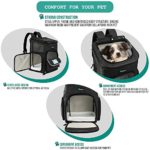 PetAmi Pet Carrier Backpack for Small Cats, Dogs, Puppies | Airline Approved | Ventilated, 4 Way Entry, Safety and Soft Cushion Back Support | Collapsible for Travel, Hiking, Outdoor (Charcoal)