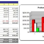 Online Travel Website SWOT Analysis Plus Business Plan