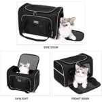 SERCOVE Travel Cat Carriers Airline Approved Pet Carrier Soft Sided Collapsible Breathable Small Dog Carrier Bag for 20Lbs Kitten Puppy Medium Dogs (Large, Black)