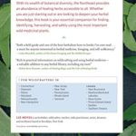 Northeast Medicinal Plants: Identify, Harvest, and Use 111 Wild Herbs for Health and Wellness