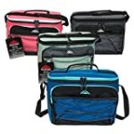 Insulated 12 Can Deluxe Travel Cooler (Blue)