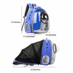 AJY Pet Clear Cat Backpack Carrier Foldable Breathable Pet Rucksack Carrier for Puppy Dog Cat Lightweight Cat Backpack Designed for Travel, Hiking, Walking & Outdoor Use