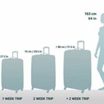 Amazon Basics 3 Piece Softside Carry-On Spinner Luggage Suitcase Set – Black