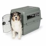 Petmate Sky Kennel Pet Carrier – 32 Inch