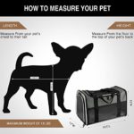 Akinerri Airline Approved Pet Carriers,Soft Sided Collapsible Pet Travel Carrier for Medium Puppy and Cats, Cats Carrier, Pet Carriers for Small Medium Cats