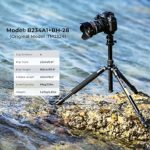 K&F Concept 64”/162cm DSLR Tripod,Lightweight and Compact Aluminum Camera Tripod with 360 Panorama Ball Head Quick Release Plate for Travel and Work B234A1+BH-28 (TM2324)