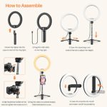 Portable Travel Selfie Ring Light – 10.2″ Foldable & Extendable LED Desk Ring Light with Tripod Stand & Phone Holder, Circle Light Ring for Phone for Photography, Live Streaming, Photo, Zoom Meetings