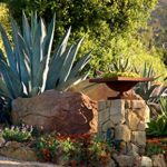 Private Gardens of Santa Barbara: The Art of Outdoor Living