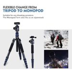 Moman Travel Camera Tripod with 360° Panorama Ball Head, 13.8-61.4 Inches Foldable Height,33.7 lbs Max Payload, Aluminum Alloy Tube for All DSLR & SLR Camera Camcorder