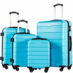 COOLIFE Luggage 4 Piece Set Suitcase Spinner Hardshell Lightweight TSA Lock (Family Set-Sky Blue)