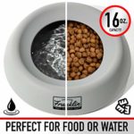 Franklin Sports Spill Proof Pet Bowl – No Splash Travel Water + Food Dish for Dogs + Cats – Portable Pet Bowl for Cars + Travel – 16 oz. – BPA Free