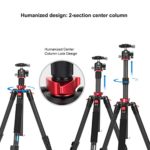 Travel Tripod, CAVIX CT2542 62.2” Carbon Fiber Camera Tripod Lightweight with Detachable Monopod 360 Degree Low Profile Ball Head 13.2lbs Load Capacity Compatible with DSLR Cameras