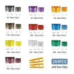 ZIPCCI 266 Pcs – Car Fuses Assortment Kit, Mini & Standard Automotive Fuses – Blade Auto Fuse for RV Accessories, Marine, Camper, Travel Trailers, Boat (2A/3A/5A/7.5A/10A/15A/20A/25A/30A/40AMP)