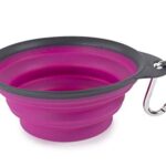 Dexas Pets Collapsible Travel Cup, Large/2 Cup Capacity, Fuchsia